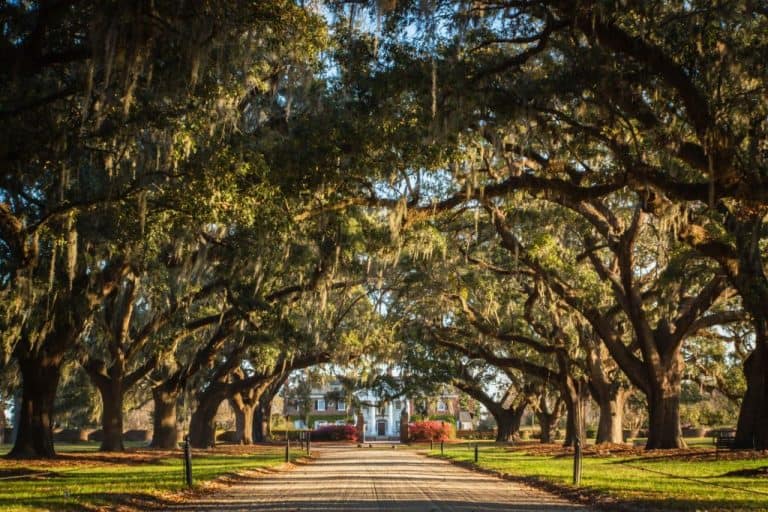 boone hall plantations