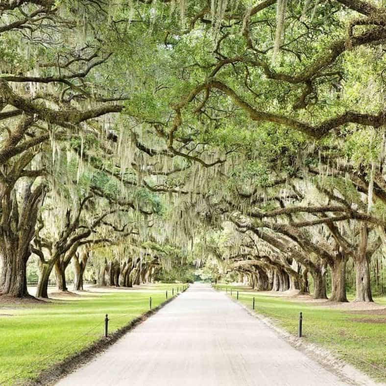 boone hall plantation discount tickets