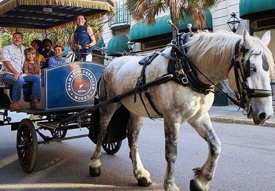 charleston sc carriage tours