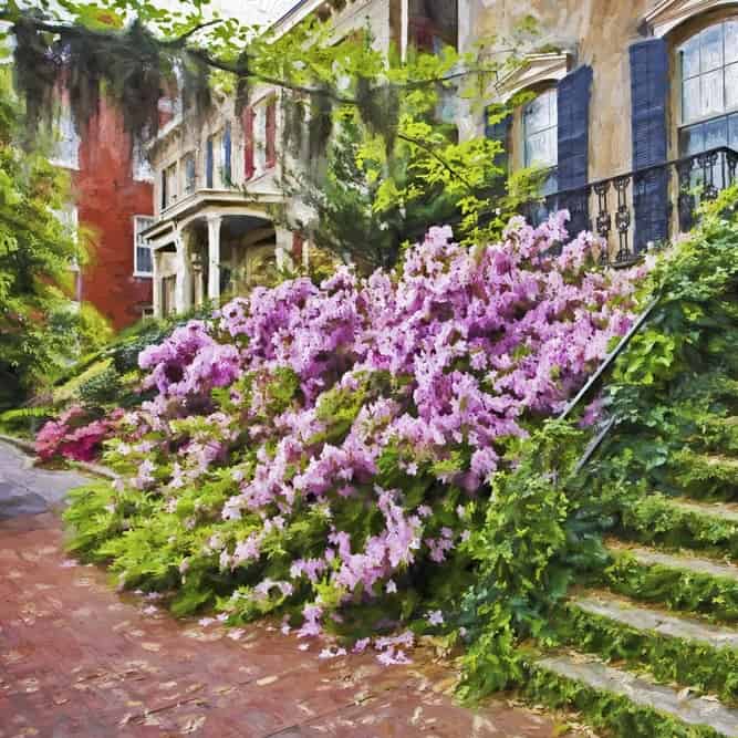 savannah spring walking tour