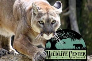 oatland island wildlife center