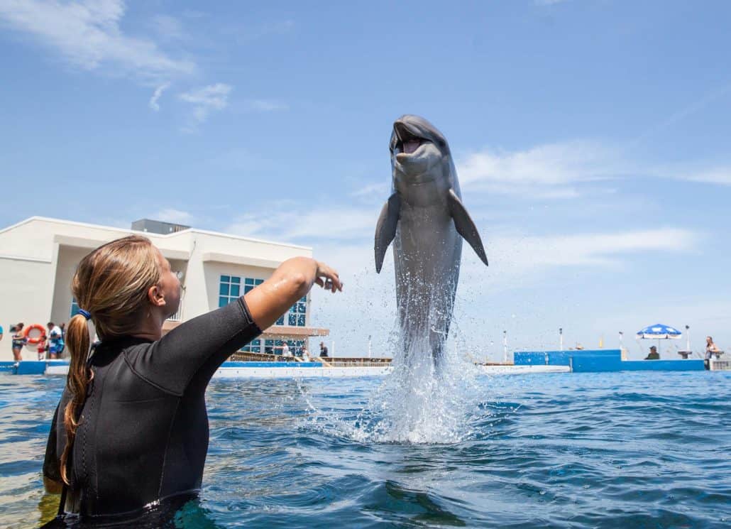 marineland